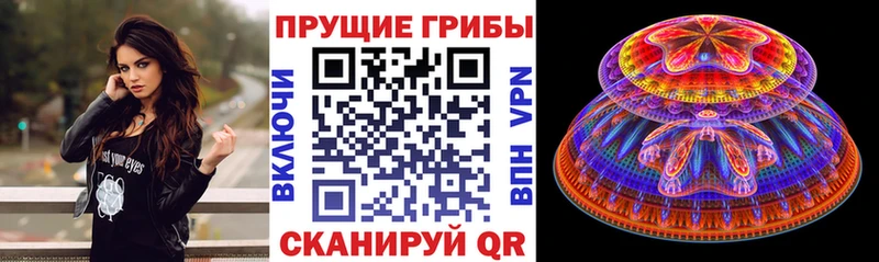 Псилоцибиновые грибы MAGIC MUSHROOMS  продажа наркотиков  Советск 