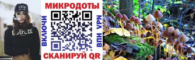Псилоцибиновые грибы Cubensis Советск